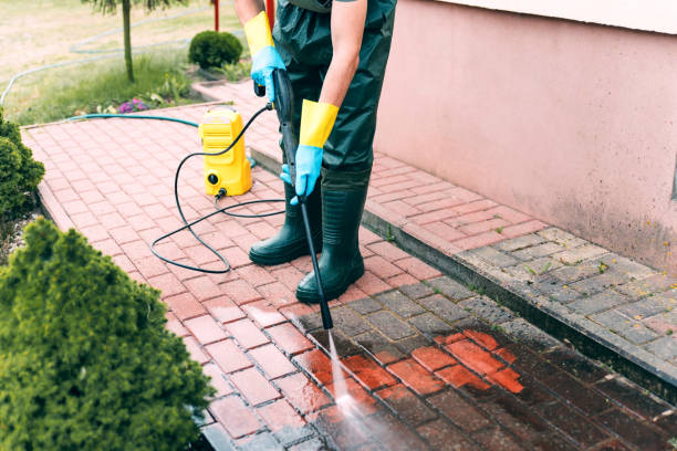 Best House Pressure Washing  in Newton, NJ