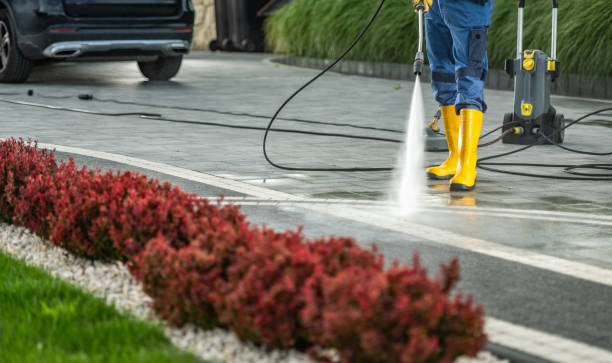 Best House Pressure Washing  in Newton, NJ